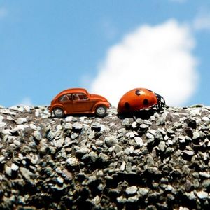 Meet your Posher, Deedee